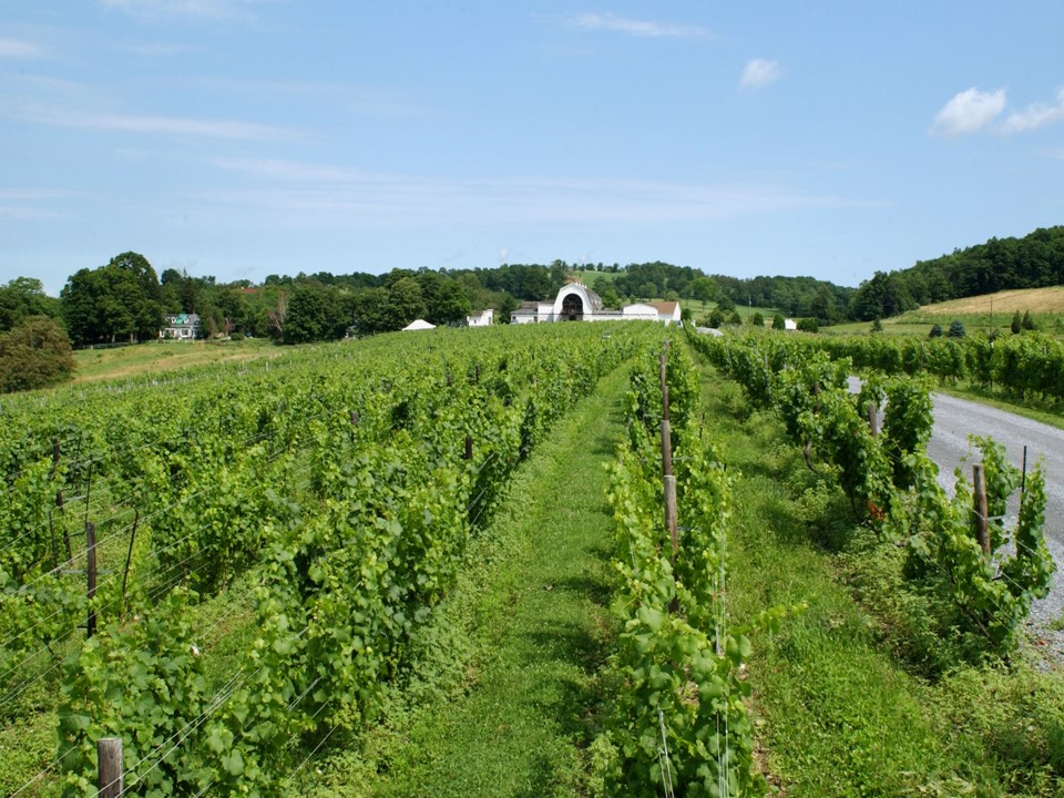 Millbrook Vineyards & Winery